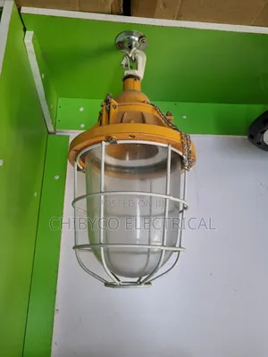 Explosion Proof Security Dropping Light