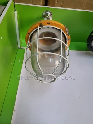 Explosion Proof Security Dropping Light