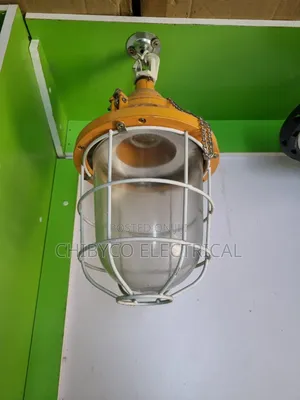 Explosion Proof Security Dropping Light