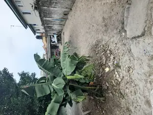 Sweet 2 Plot of Land in Woji