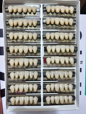 Synthetic Resin Teeth