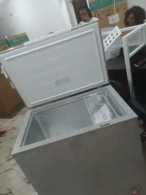 Top Selling Hisense Chest Freezer 390sh Silver