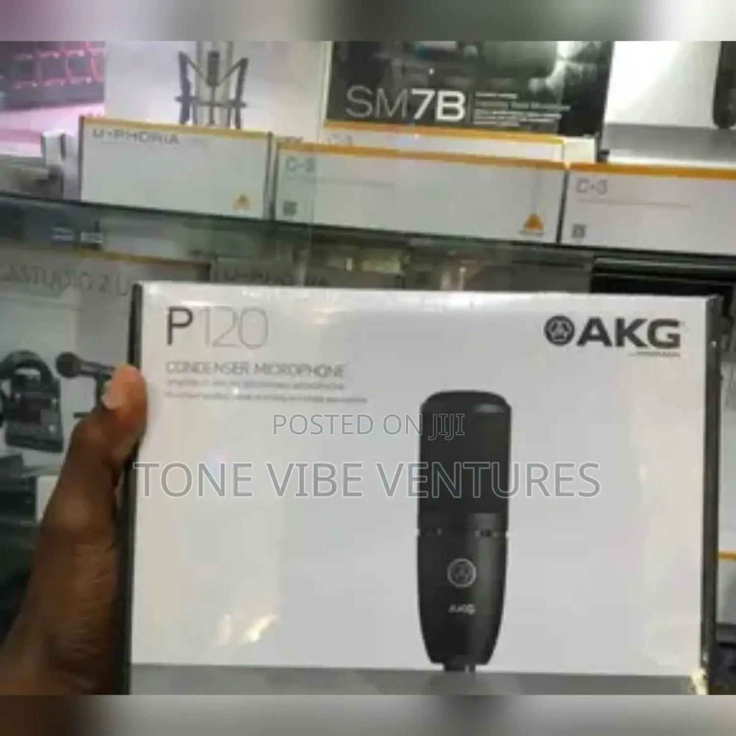 Akg Mic P120