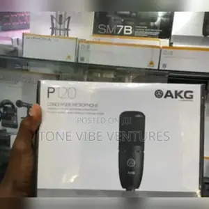 Akg Mic P120