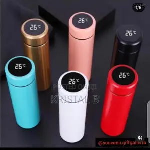 Insulated Temperature Flask