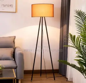 Standing Lamps
