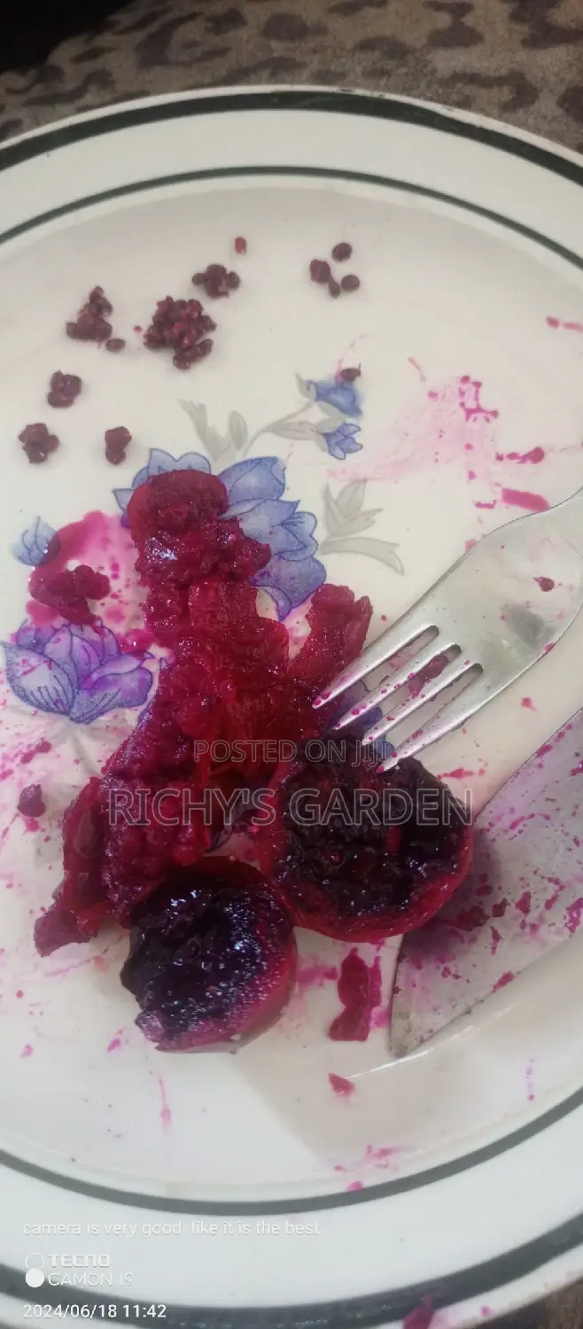 Delicious Red Prickly Pear Cactus Plant