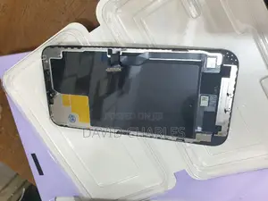 12pro Max Zy Screen