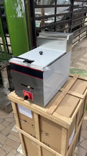 10liters Gas Deep Fryer