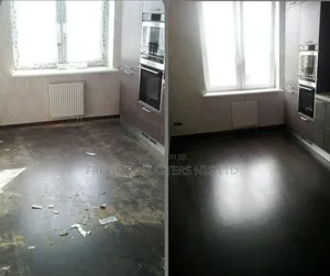Professional Cleaners Services