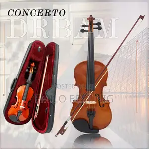 Professional 4/4 Violin