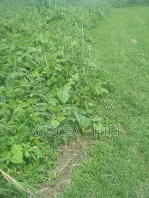 Genuine Land for Sale