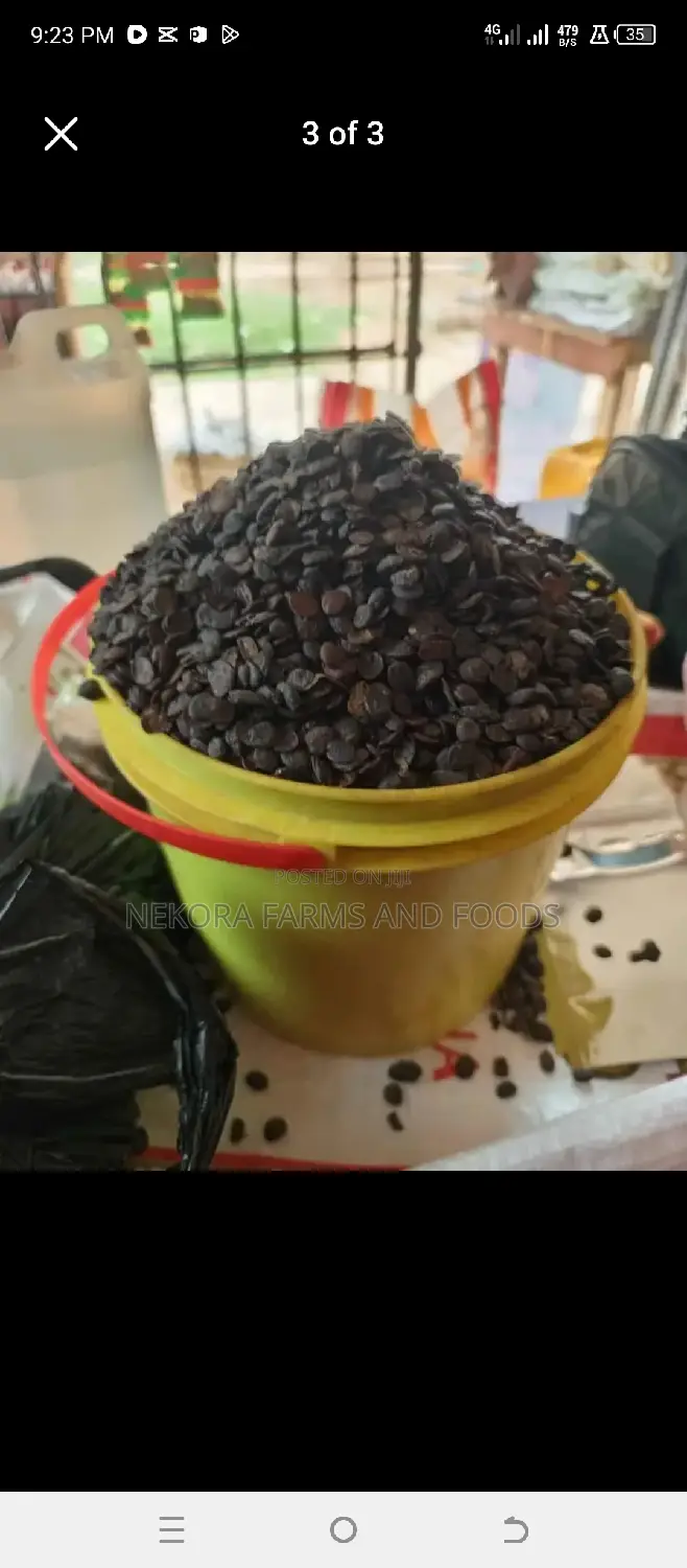 Dried Iru (Locust Beans)