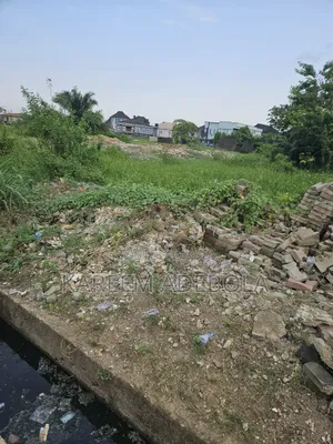 Residential Land Available for Sale Off Ayo Alabi Okeira