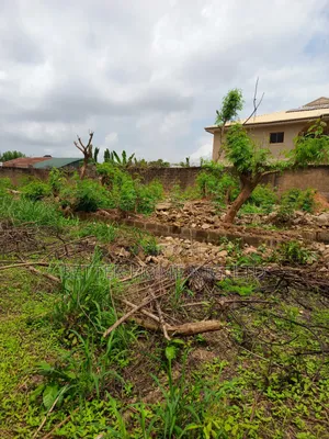 Standard Plot of Land