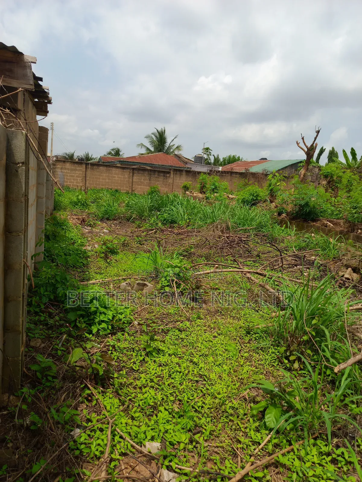 Standard Plot of Land