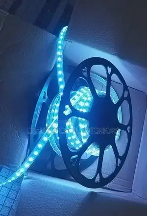 Multi Purpose Rope Lights 50 Meter