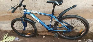 Simba Mountain Bicycle
