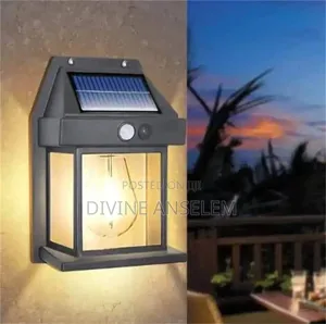 Fance Solar Wall Light