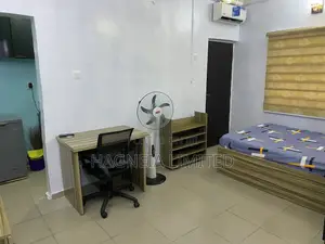 Luxurious Furnished Apartment