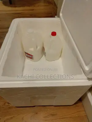 Best Styrofoam Cooler 30lters