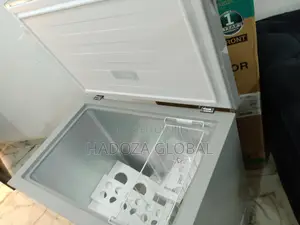 Best Quality 297L Freezer (Hisense)