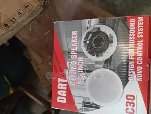 Dat Professional Ceiling Speakers
