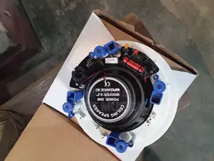 Dat Professional Ceiling Speakers