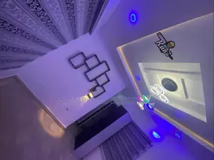 Professional Electrician