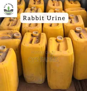 Undiluted/Organic Rabbit Urine Available For Sales