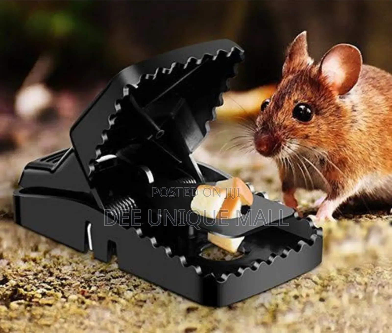 Heavy Duty Rat Trap Reusable Plastic Mouse Traps for All
