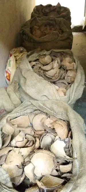 Coconut Shells 50 Kg