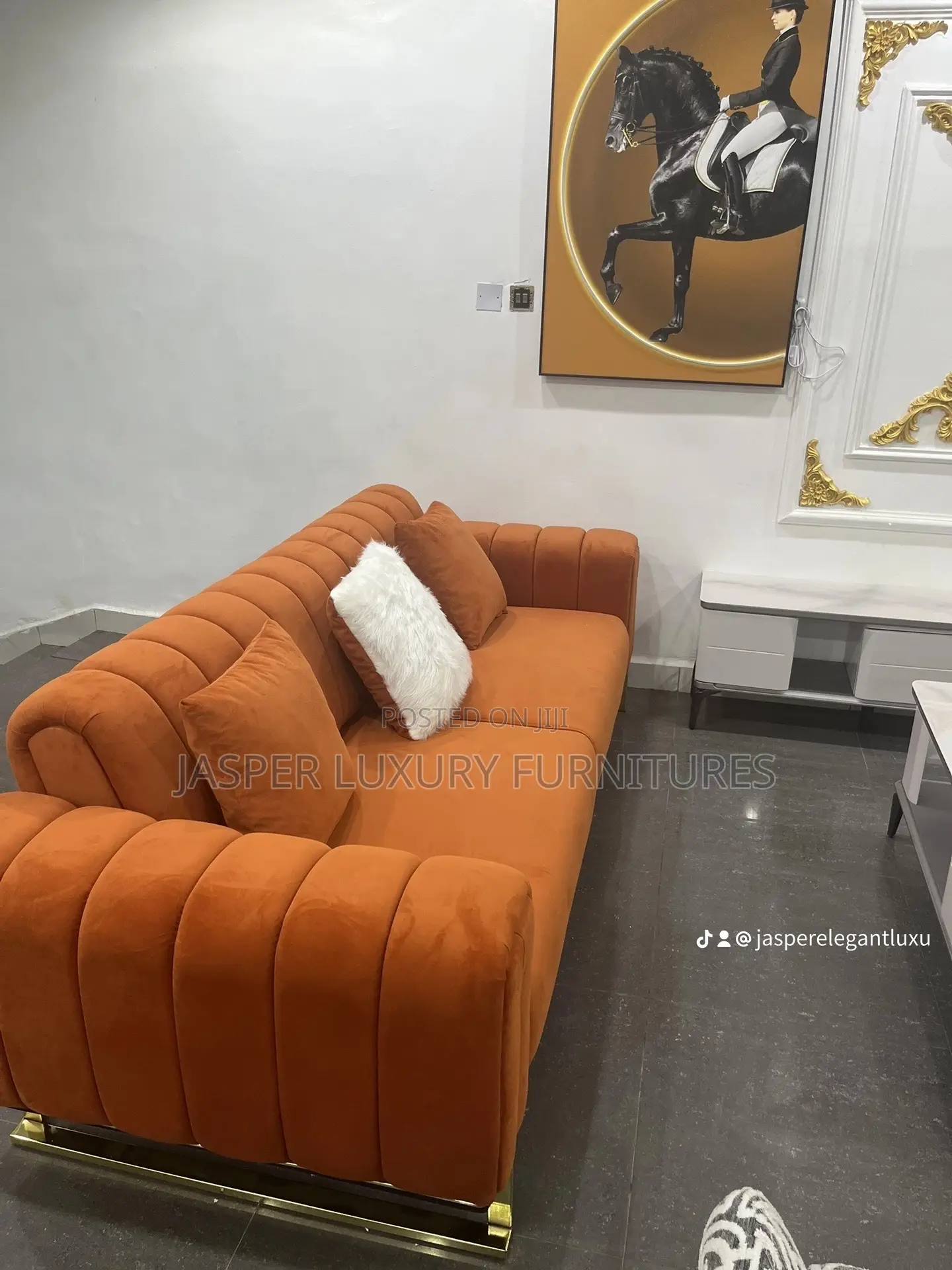 Elegantly Designed Sofa