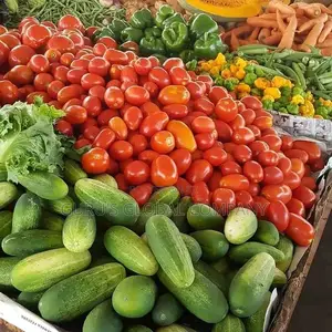 Contact Us for Your Fresh Foodstuffs