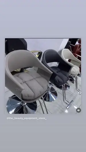 Stylish Design Salon Chair