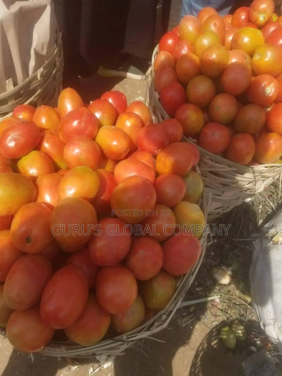 Fresh Tomatoes Basket