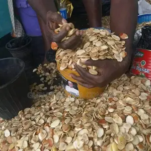 Ogbono Available