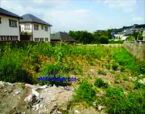 For Sale: Land Asokoro Extension Guzape Abuja
