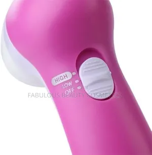 Painless Facial Brush Set Wt 4 Interchangeable Face Scrubber