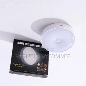 Rechargeable (Sensor Detector) Body Induction Lamp
