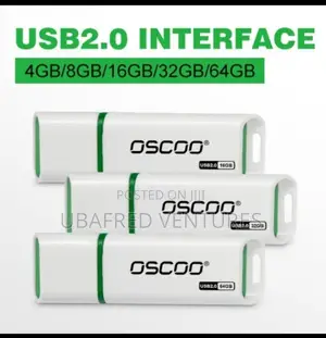 Photo - R009 USB2.0 Portable Flash Drive