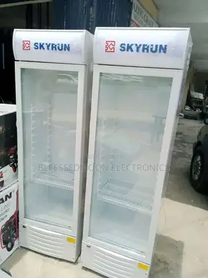 Skyrun Inverter Chiller Show Glass 5 Years Warranty