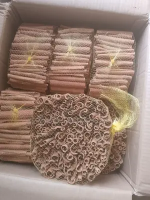 Cinnamon (Foreign)