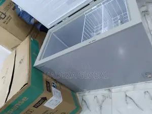 Affordable Brand New Hisense Chest Freezer(297L)