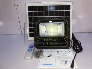 100w Twilighting Solar Flood Light