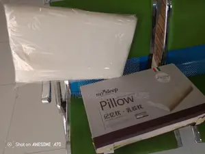 Neck Pillow Support