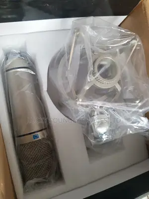 Professional Studio Microphone