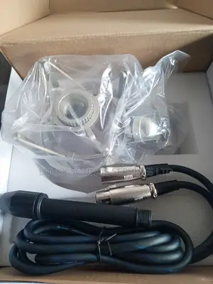 Professional Studio Microphone