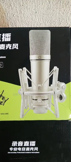 Professional Studio Microphone