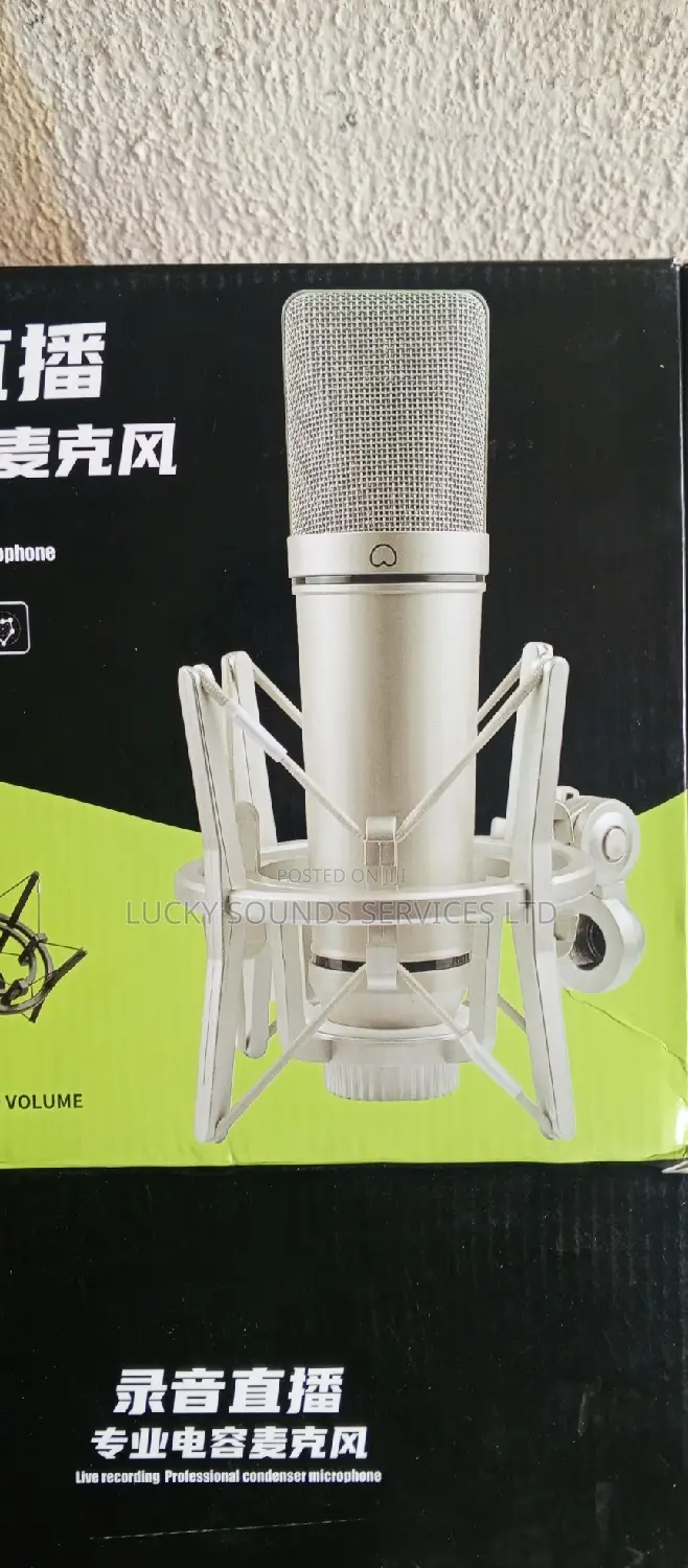 Professional Studio Microphone